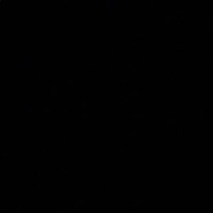 Meet your Posher, Elise